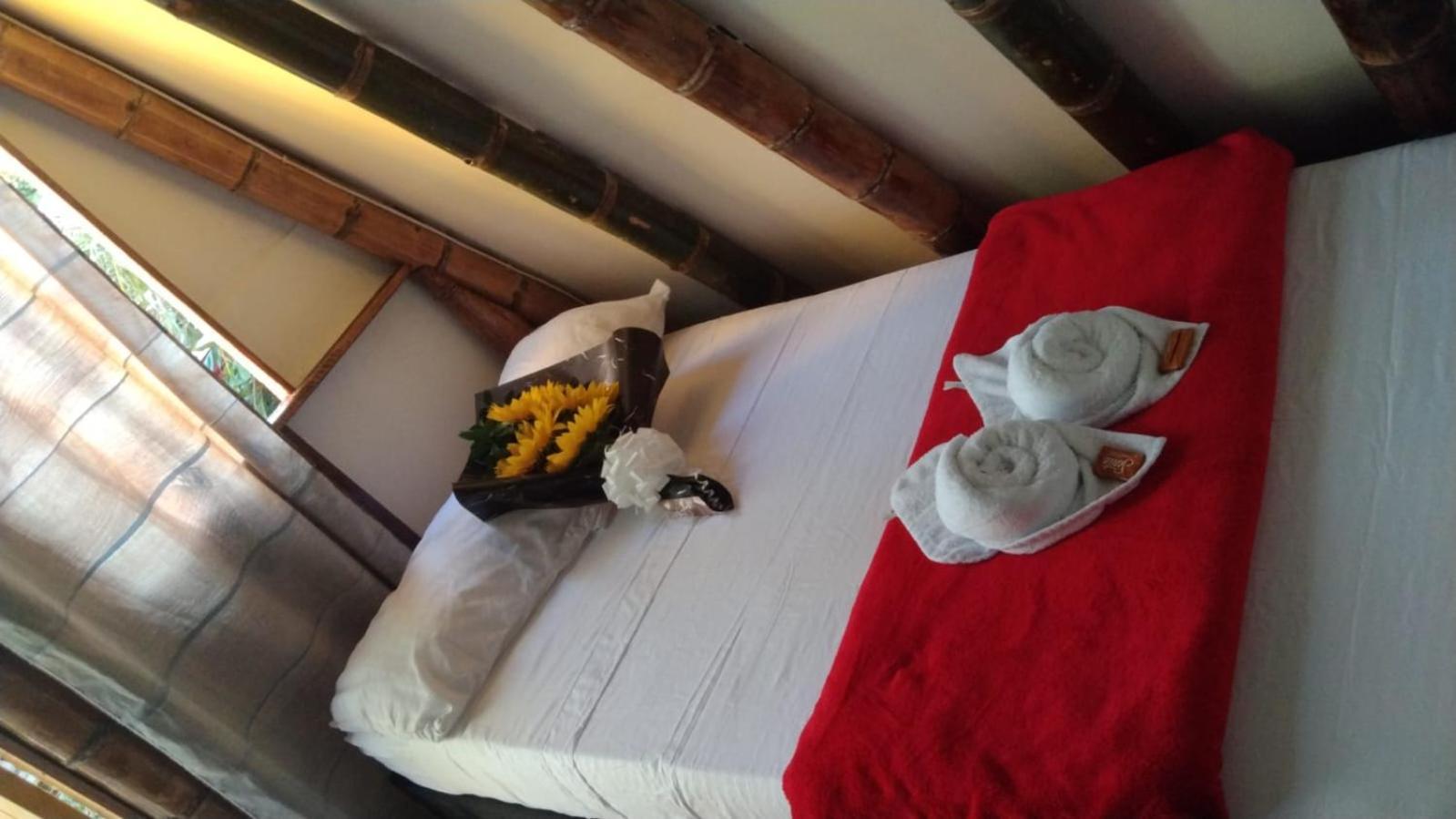 Hostal Bremen Jq Filandia Extérieur photo